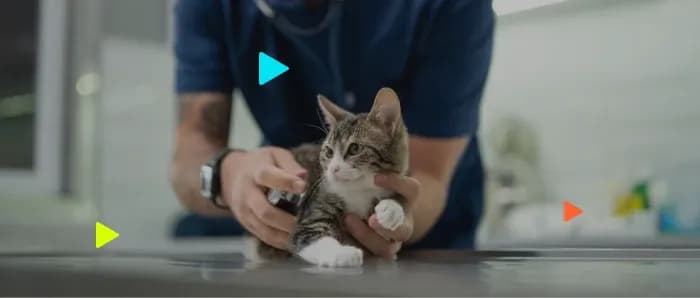 ERP para clínicas veterinárias: gestão de agenda e caixa