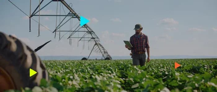 Agricultor analisando lavoura em campo aberto