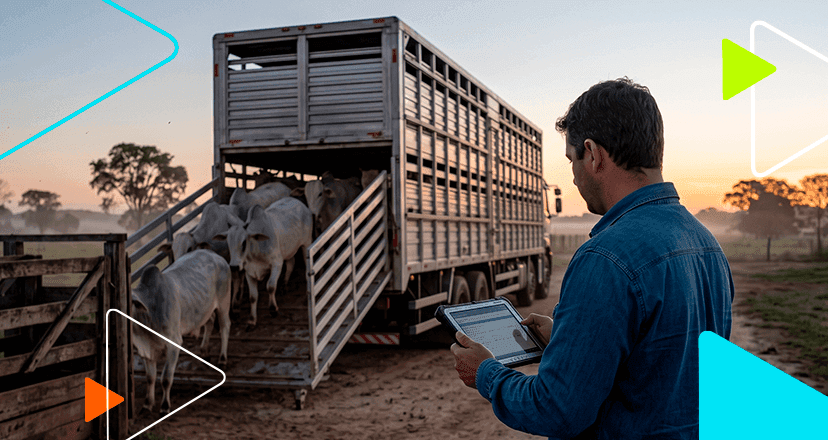 Reforma Tributária no Agro: Como Evitar Riscos na Transição com um Sistema de Gestão