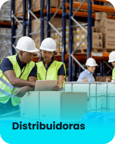 Segmento de Distribuidoras