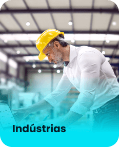 Segmento de Industria