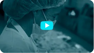 Thumb do vído de Maria José Lima